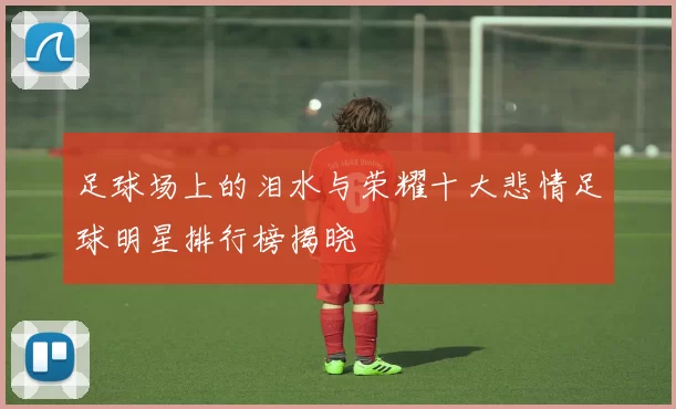 足球场上的泪水与荣耀十大悲情足球明星排行榜揭晓