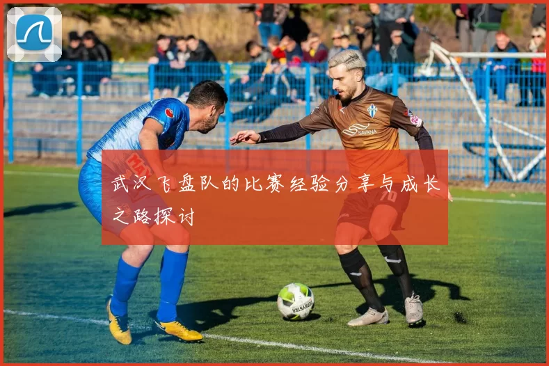 武汉飞盘队的比赛经验分享与成长之路探讨