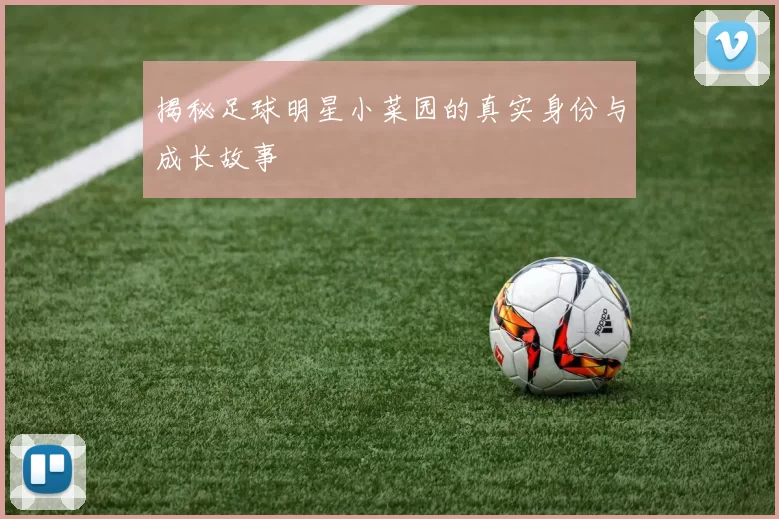揭秘足球明星小菜园的真实身份与成长故事