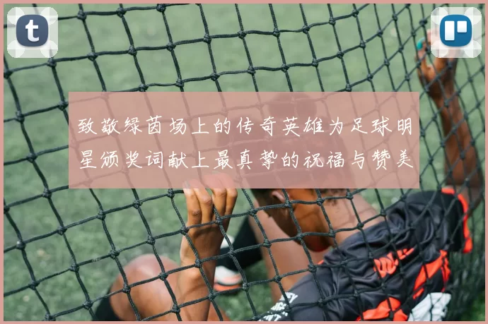 致敬绿茵场上的传奇英雄为足球明星颁奖词献上最真挚的祝福与赞美