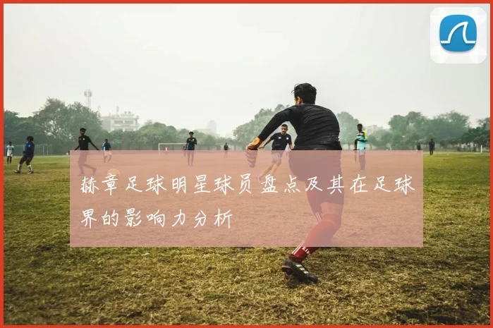 赫章足球明星球员盘点及其在足球界的影响力分析