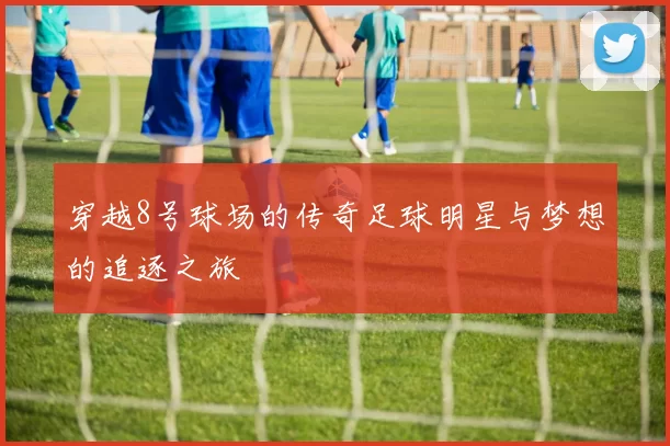 穿越8号球场的传奇足球明星与梦想的追逐之旅