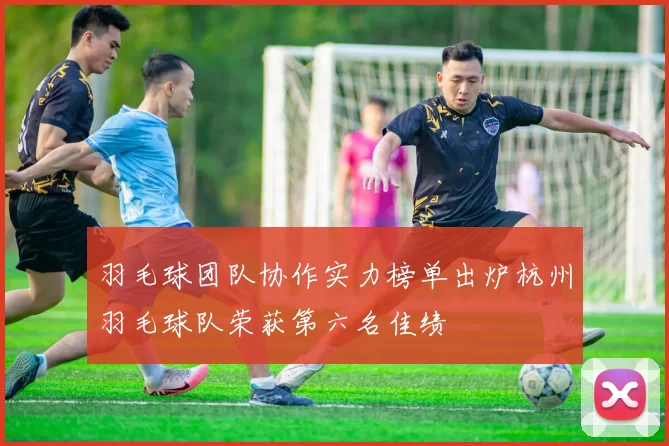 羽毛球团队协作实力榜单出炉杭州羽毛球队荣获第六名佳绩