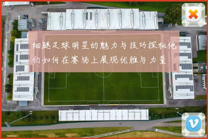 细腿足球明星的魅力与技巧探秘他们如何在赛场上展现优雅与力量