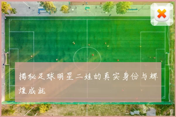 揭秘足球明星二娃的真实身份与辉煌成就