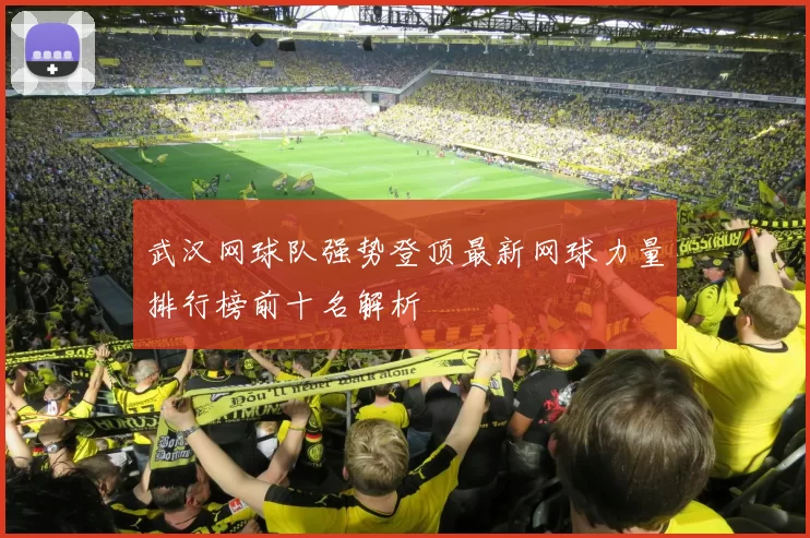 武汉网球队强势登顶最新网球力量排行榜前十名解析