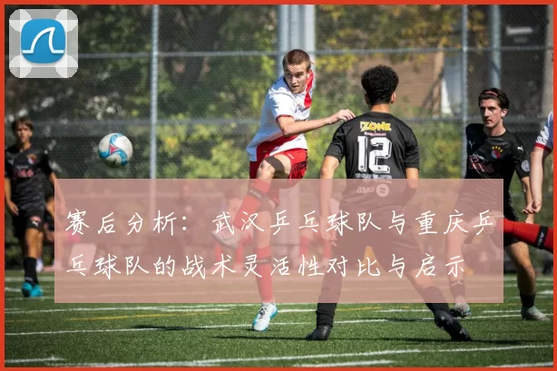 赛后分析：武汉乒乓球队与重庆乒乓球队的战术灵活性对比与启示