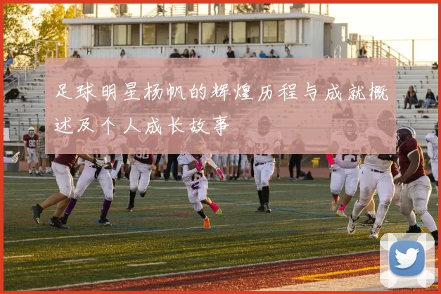 足球明星杨帆的辉煌历程与成就概述及个人成长故事