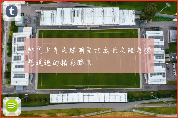 帅气少年足球明星的成长之路与梦想追逐的精彩瞬间