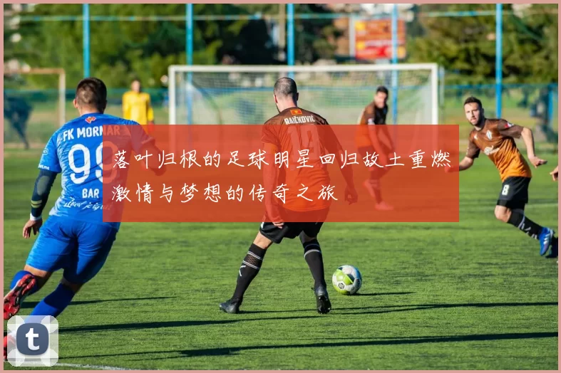 落叶归根的足球明星回归故土重燃激情与梦想的传奇之旅