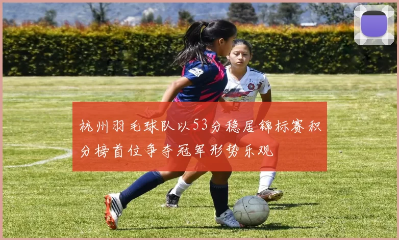 杭州羽毛球队以53分稳居锦标赛积分榜首位争夺冠军形势乐观