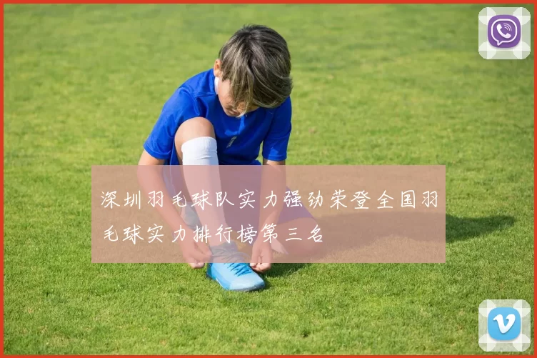 深圳羽毛球队实力强劲荣登全国羽毛球实力排行榜第三名
