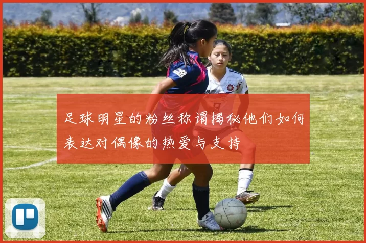 足球明星的粉丝称谓揭秘他们如何表达对偶像的热爱与支持