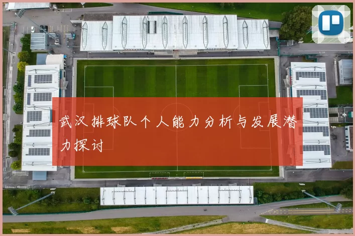 武汉排球队个人能力分析与发展潜力探讨