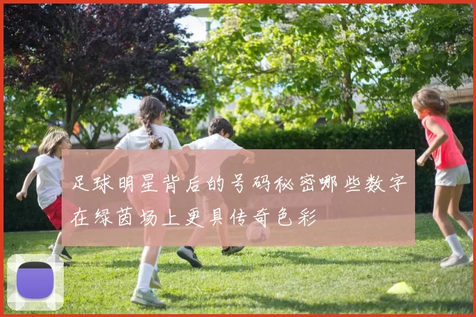 足球明星背后的号码秘密哪些数字在绿茵场上更具传奇色彩