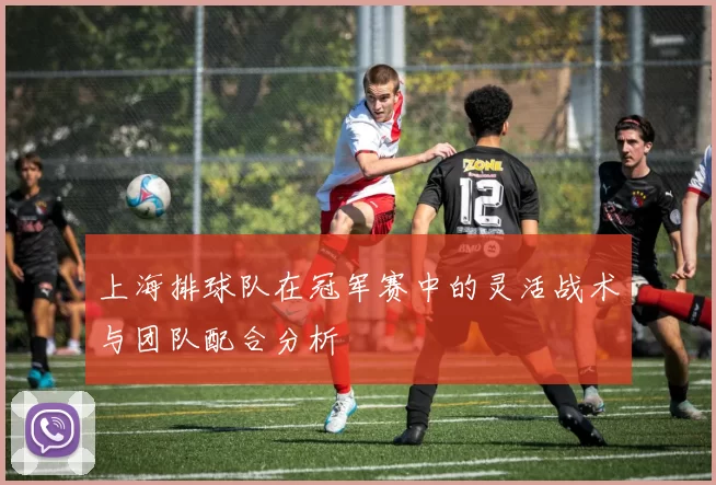 上海排球队在冠军赛中的灵活战术与团队配合分析