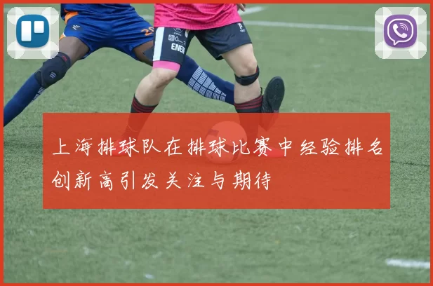 上海排球队在排球比赛中经验排名创新高引发关注与期待