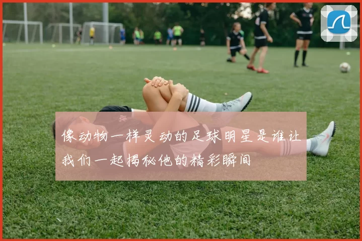 像动物一样灵动的足球明星是谁让我们一起揭秘他的精彩瞬间