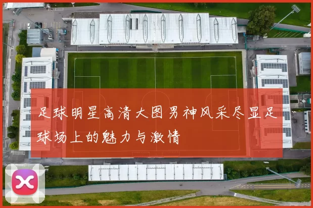 足球明星高清大图男神风采尽显足球场上的魅力与激情