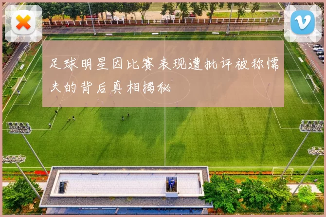 足球明星因比赛表现遭批评被称懦夫的背后真相揭秘