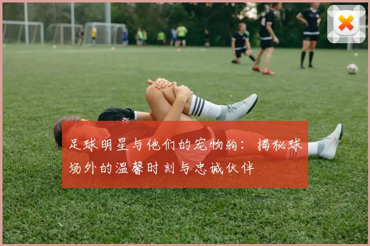足球明星与他们的宠物狗：揭秘球场外的温馨时刻与忠诚伙伴